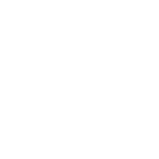 Logo representing Exascend's AES-256 technology