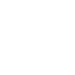 Logo representing Exascend's Custom Data Sanitization technology