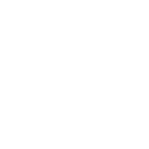 Logo representing Exascend's Neutron Shield technology