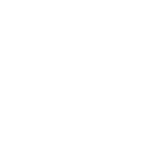 Logo representing Exascend's Pseudo SLC (pSLC) technology
