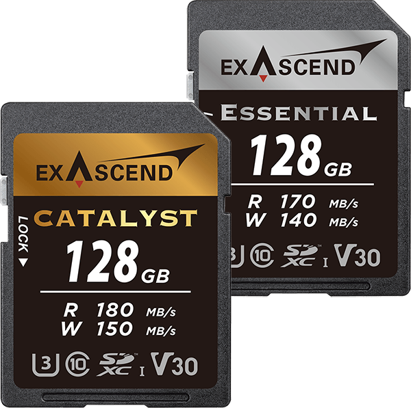 Image depicting Exascend's Catalyst and Essential SD cards (UHS-I, V30) 128 GB.