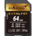 Image depicting Exascend's Catalyst SD card (UHS-II, V90) 64 GB.