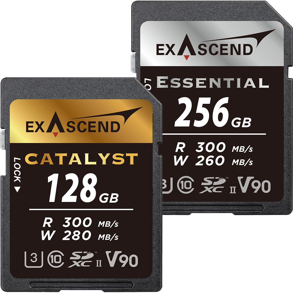 Wise SDXC UHS-II メモリーカード SD-Nシリーズ 256GB Class10 V90 UHS-II対応 読取り290MB 秒、書込み