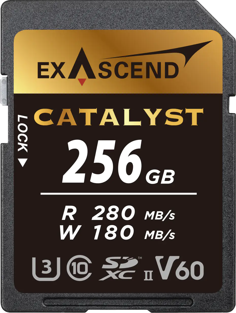 Image depicting Exascend's Catalyst SD card (UHS-II, V60) 256 GB.