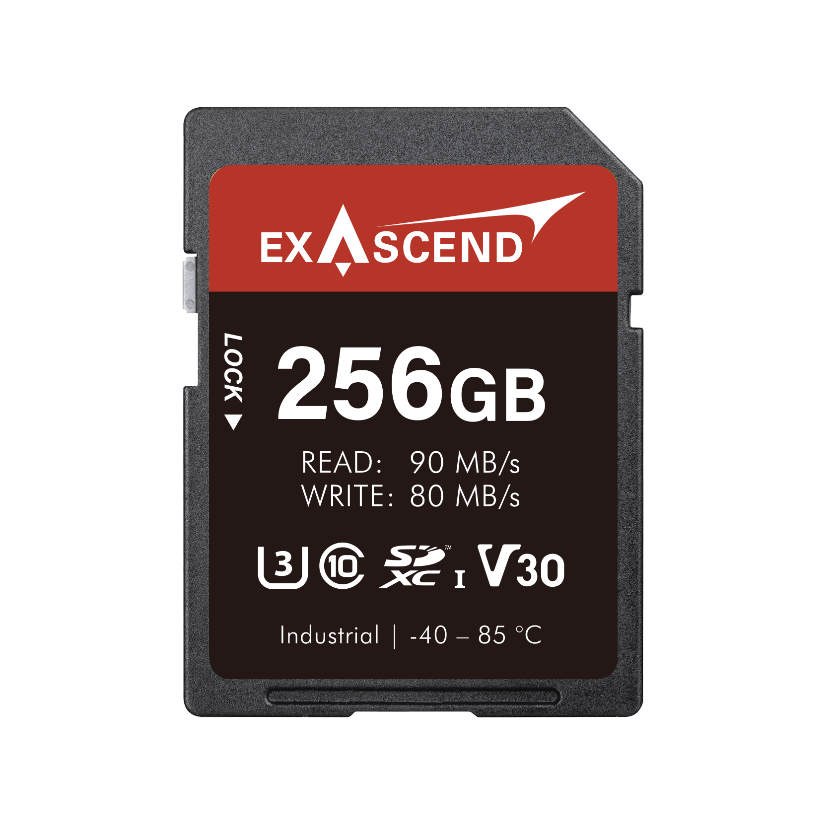Industrial SD in 256 GB
