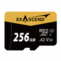 Exascend Catalyst microSD in 256 GB